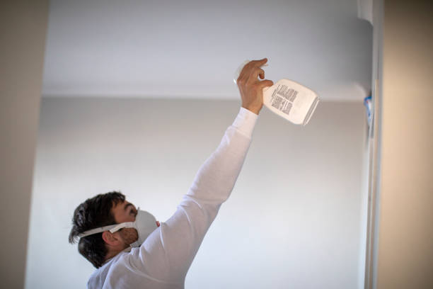 Best Office Mold Removal Services  in Las Animas, CO